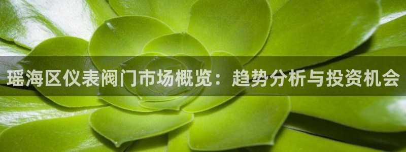 新宝gg怎么开户