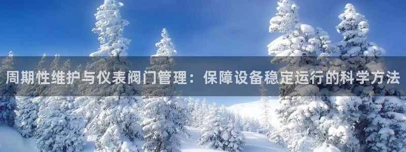 新宝gg专线