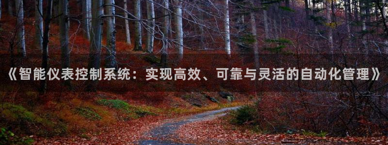 正版新宝gg