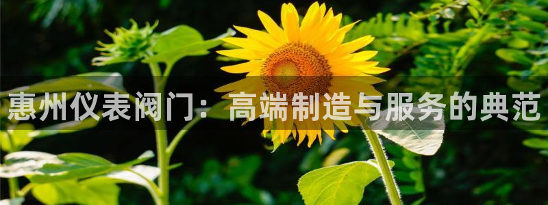 新宝gg平台q891465