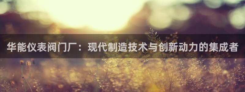 新宝gg注册登录网址