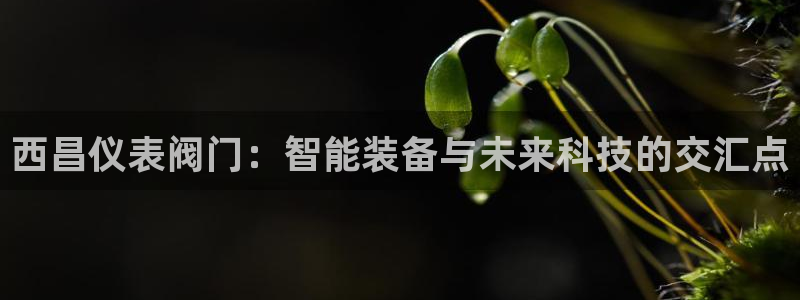 新宝gg直