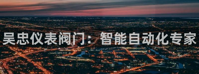 广东新宝电器gg