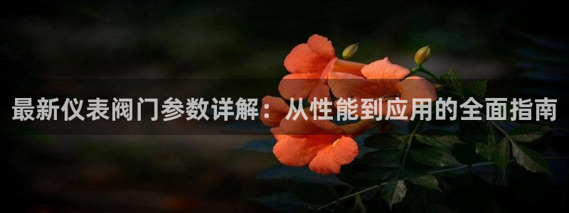 新宝GG专业团队