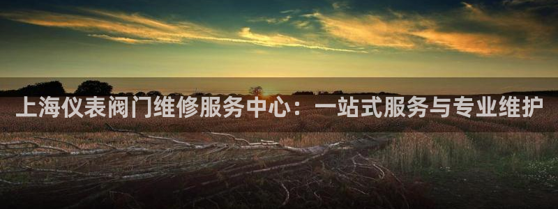 新宝gg 平台怎么样