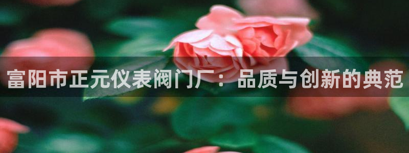 新宝gg app