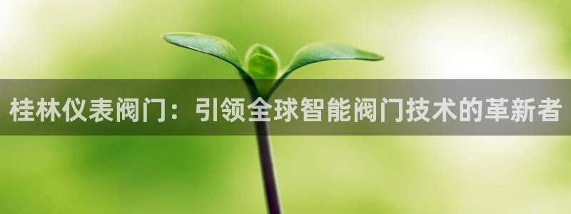 新宝gg娱乐平台