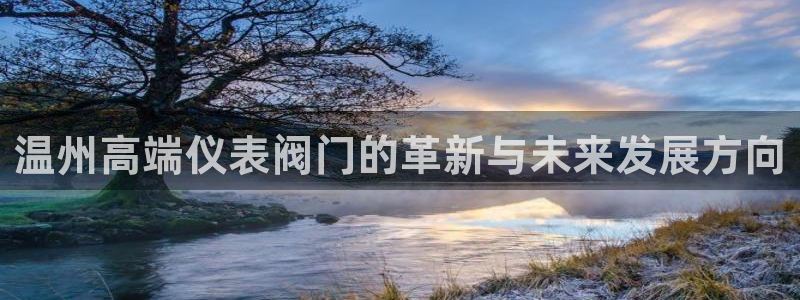 新宝六与新宝gg