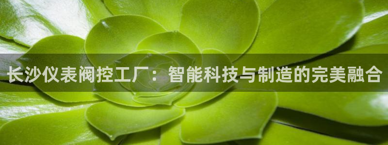 新宝gg平台下载安装