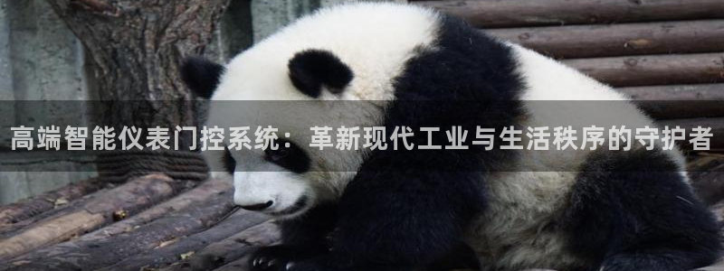 新宝gg娱乐客户端下载