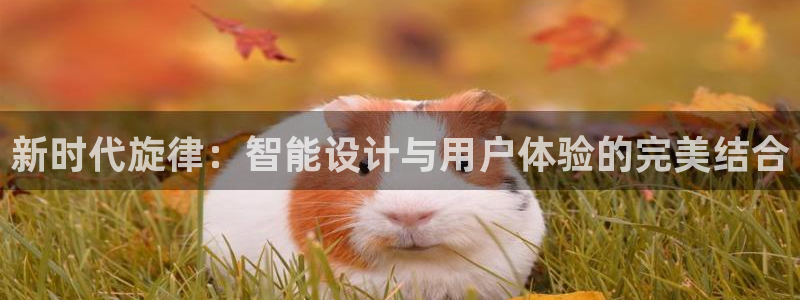 新宝gg登录平台