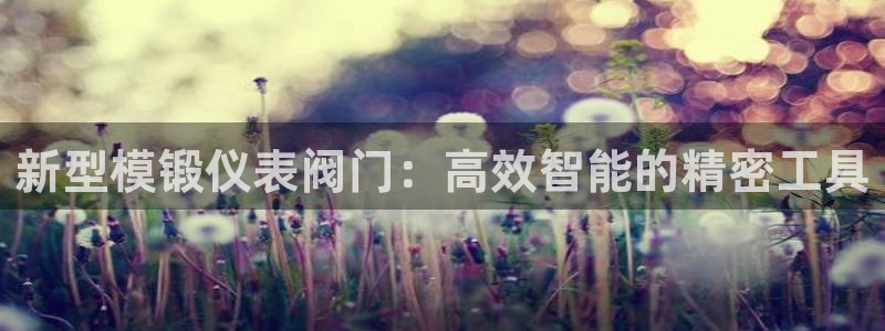 新宝gg金砖彩票