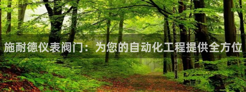 新宝gg招商致胜团队