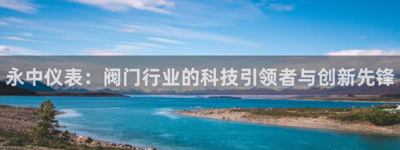 新宝GG53339咨询新宝GG