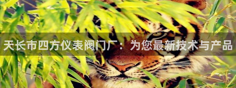 新宝gg为什么没人管