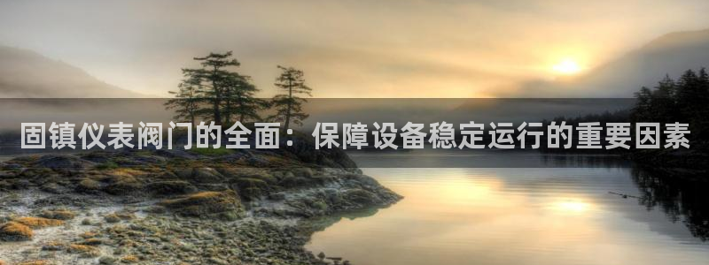 新宝 gg 登录注册