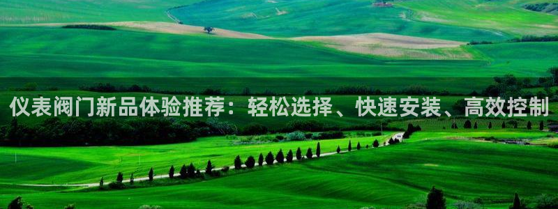 新宝gg作弊