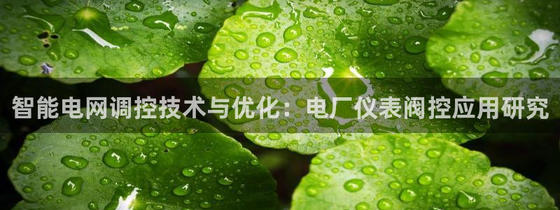 新宝gg手机版下载