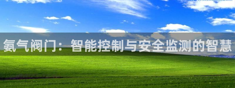 新宝gg招商致胜团队