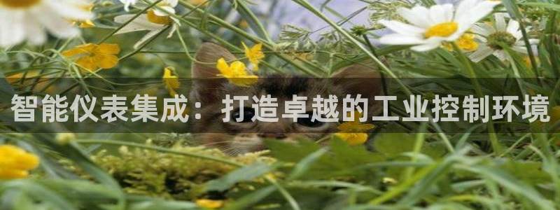 新宝gg客户登录