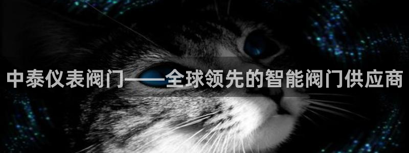 新宝gg代理