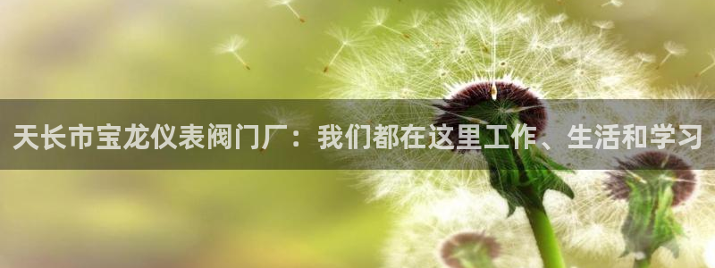新宝gg分红