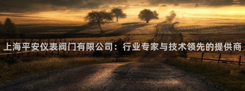 新宝gg属于