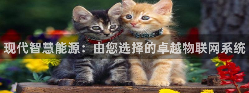 广东新宝电器gg