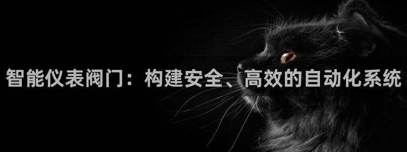 新宝gg 登录页面