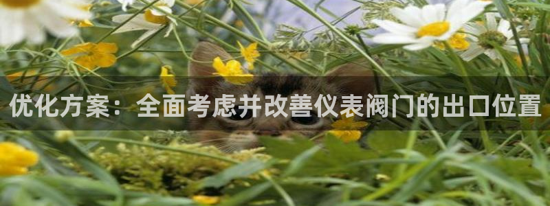 登录新宝gg游戏