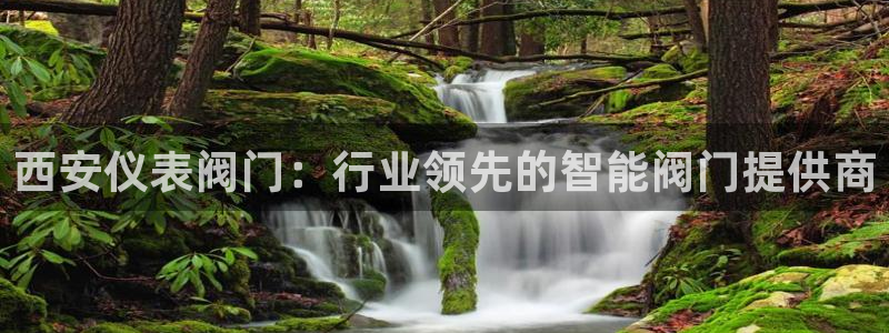 新宝GG速度