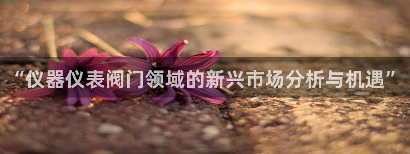 新宝gg娱乐怎么样