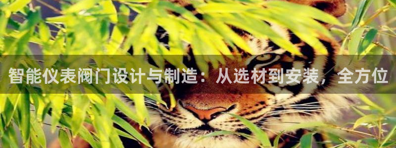 新宝gg创造奇迹 新宝gg