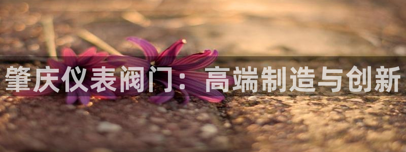 新宝新宝gg开户流程