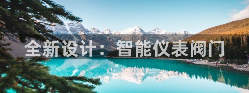 新宝gg主管开