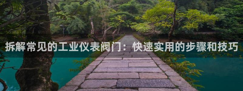 新宝六与新宝gg