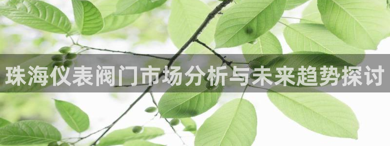 分分新宝gg