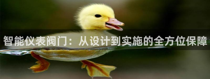 新宝GG管理