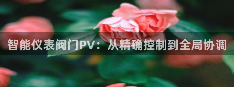 新宝gg手机登录