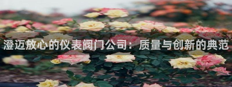 怎么代理新宝gg