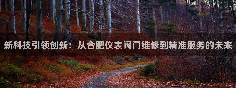 新宝GG手机客户端