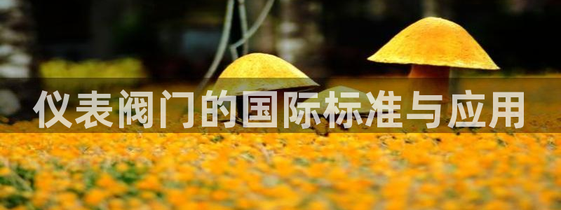 新宝gg最新章节