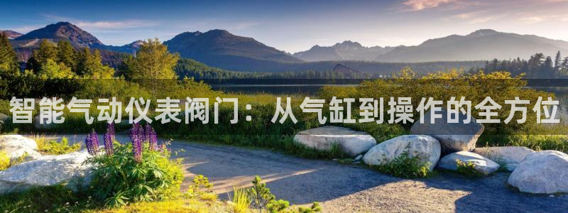 新宝gg 登录页面