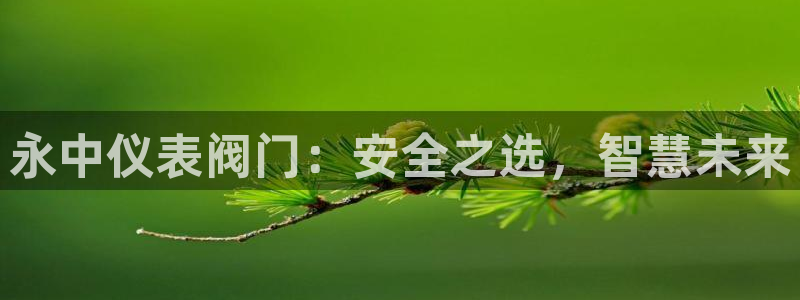 新宝gg注册q -26880