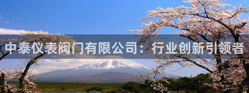 新宝gg指定平台