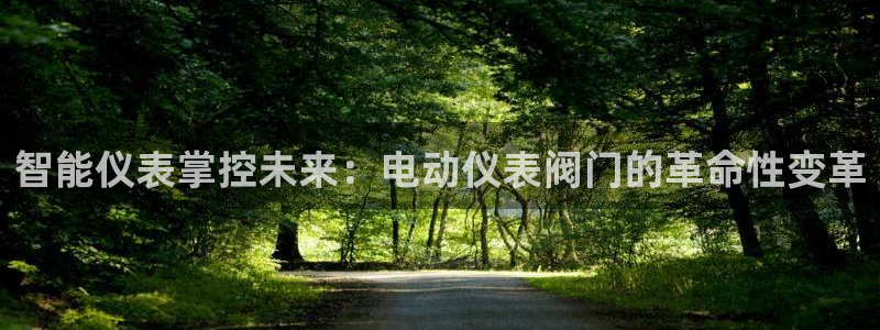 新宝gg怎样代理