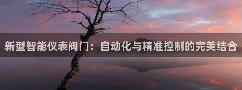 新宝gg建立团队