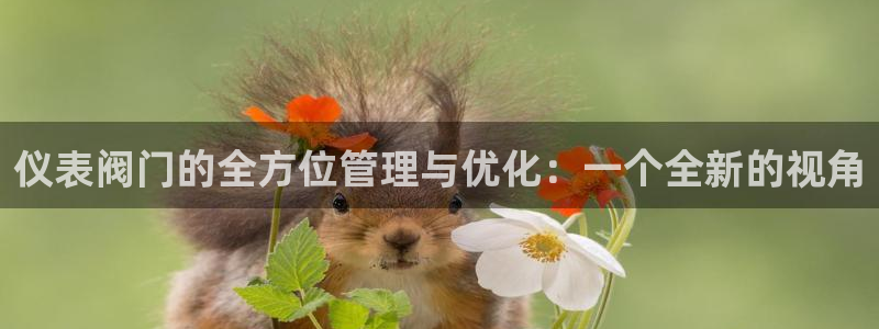 新宝gg代理登录