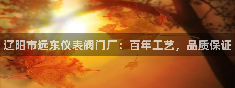 新宝gg平台开户