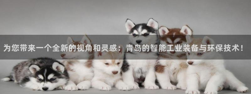 新宝gg — 创造!